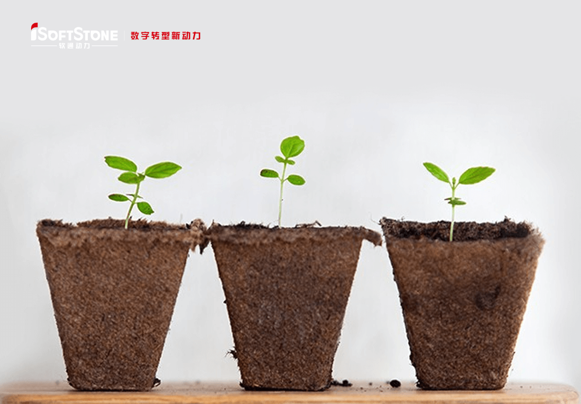 ѧgľ@AܤθǵطӹːۤɤiSoftStone٤ӹ֧Ԯ