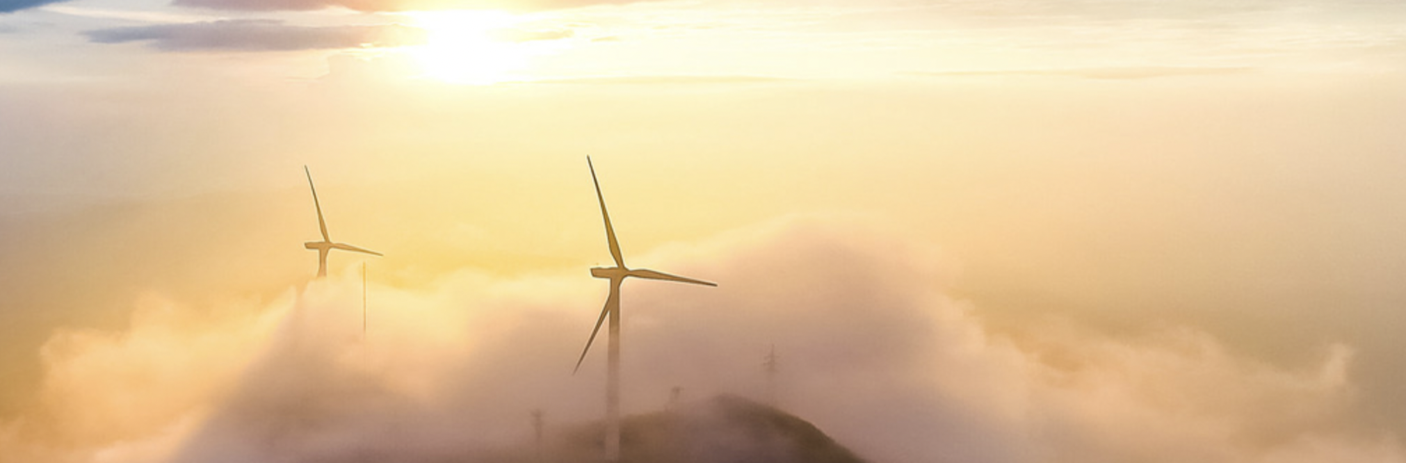 918ֹйܽ˾ԱСǡҵ+